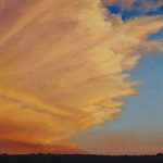 Metamorph<br />
oil on panel<br />
5" x 7" $575